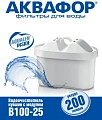 Модуль сменный АКВАФОР В25 (комплект 2 шт)
