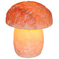 Лампа солевая Wonder Life "ГРИБ"  около 3 кг